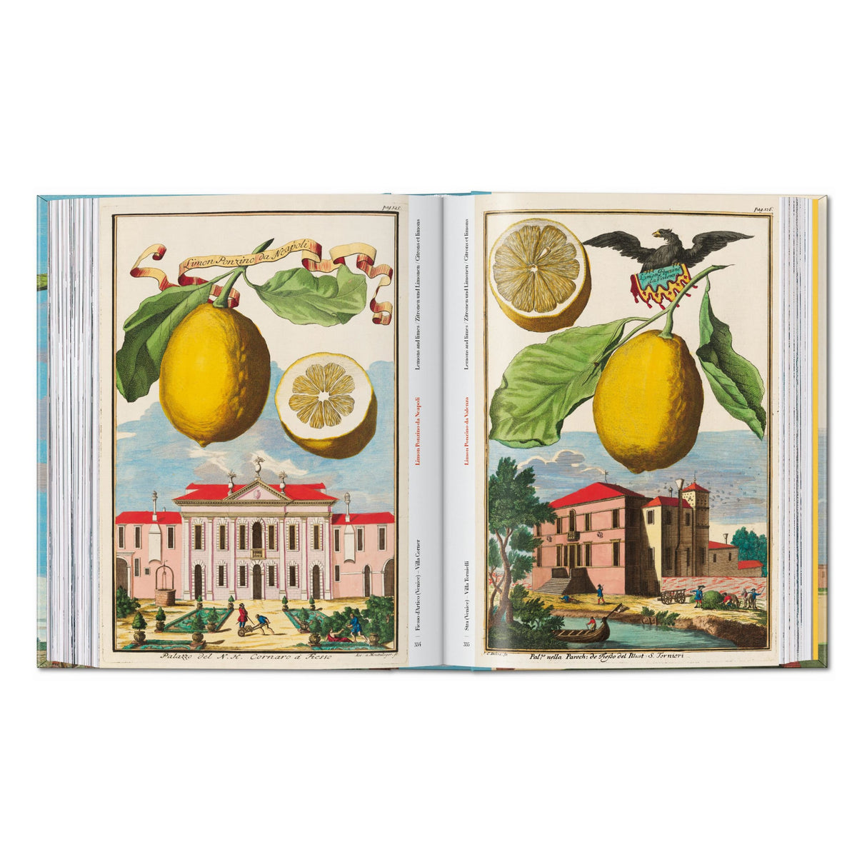 J. C. Volkamer. The Book of Citrus Fruits. 45th Ed. (German, French, English)