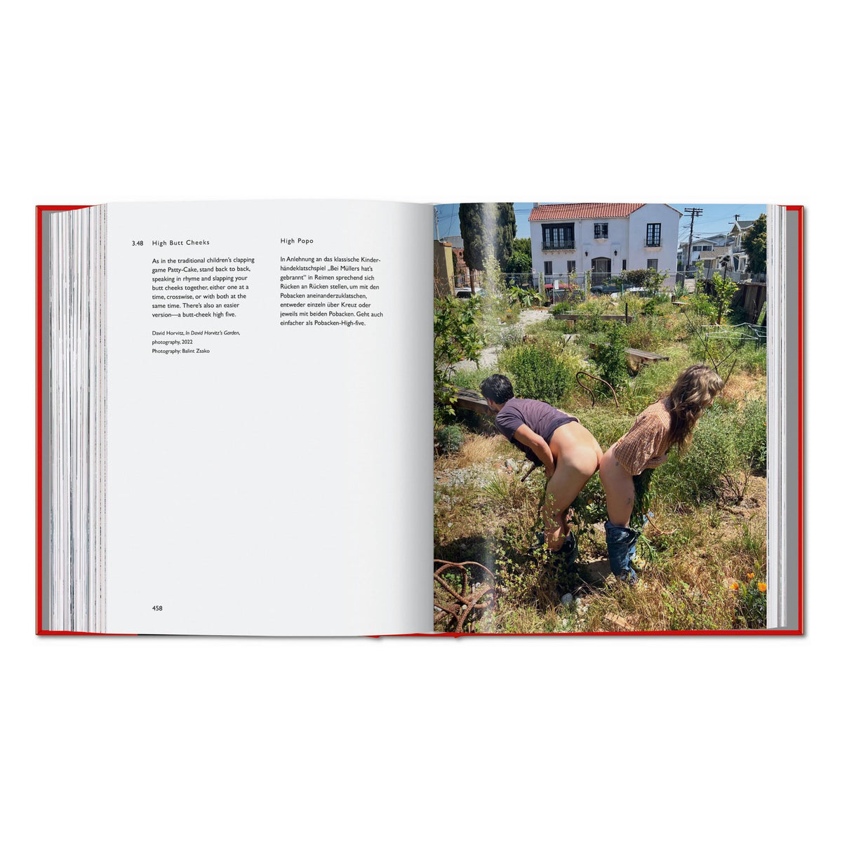 Carsten Höller. Book of Games (German, English)