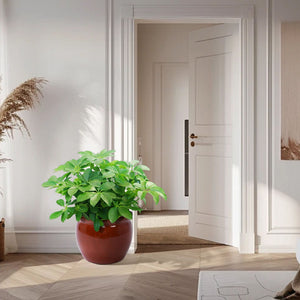 3-Piece Ceramic Planter Set with Drainage – Dark Red or Dark Green