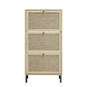 Modern Rattan 3 Door Shoe Rack Cabinet For Entryway