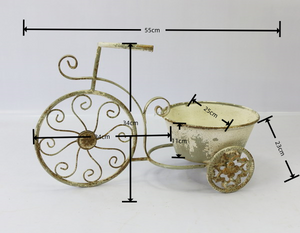 Rustic Bicycle Metal Wire Wall Planter Basket