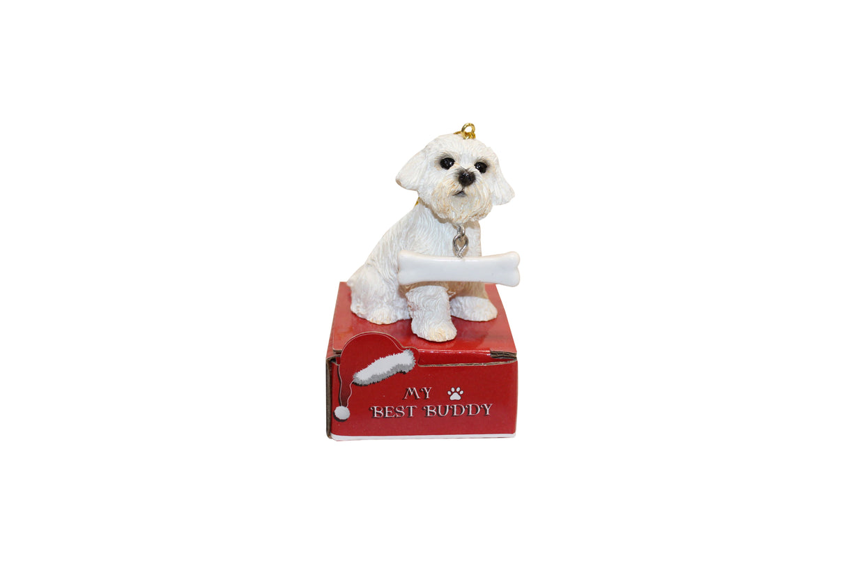 Maltese with Bone Ornament