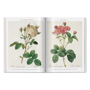 Redouté. Roses (German, French, English)
