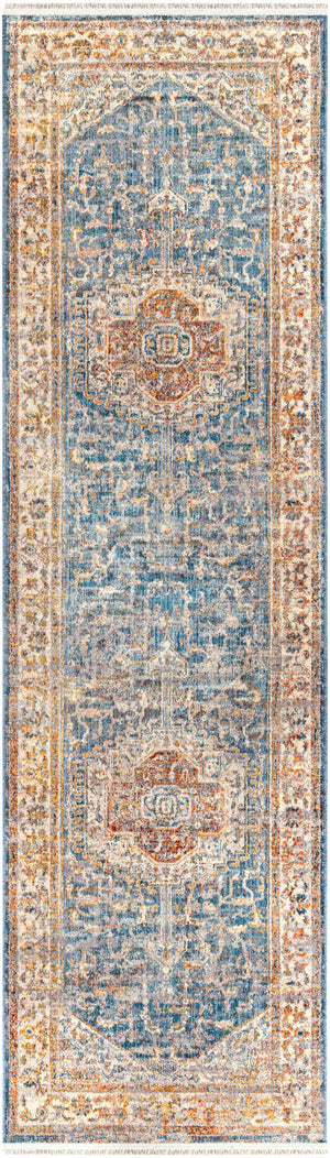 Solana Distressed Medallion Area Carpet - Clearance