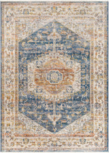 Solana Distressed Medallion Area Carpet - Clearance