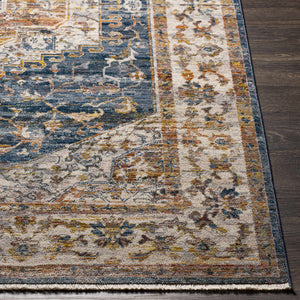 Solana Distressed Medallion Area Carpet - Clearance