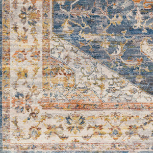 Solana Distressed Medallion Area Carpet - Clearance