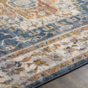Solana Distressed Medallion Area Carpet - Clearance