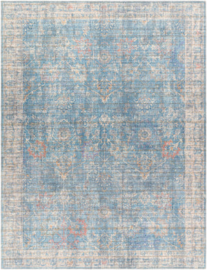 Bagontapay Washable Area Rug - Clearance