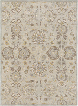 Conesus 1192 Hand Tufted Ivory&Taupe Wool Rug