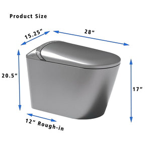 Starry Night Light Smart Toilet with Built-In Bidet