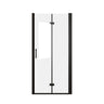 Bifold Shower Door
