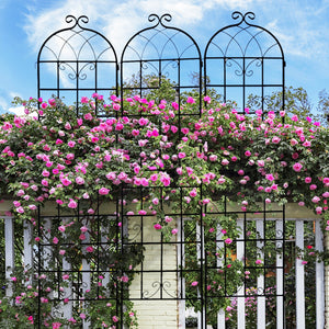 Metal Garden Trellis 4 Pack Rustproof Climbing Plant Supports