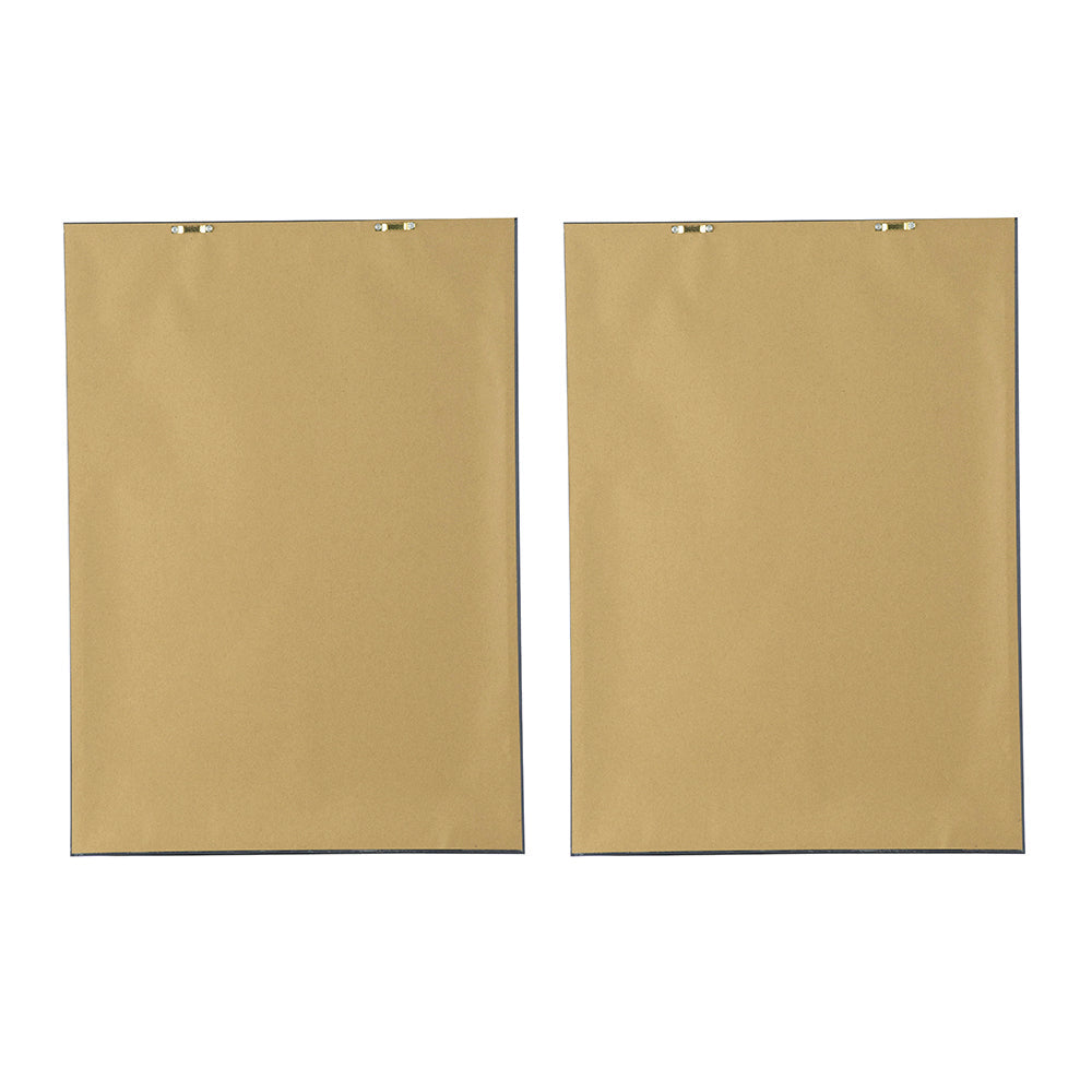 19.7x27.6' Botanical Wall Arts, Set of 2