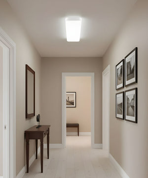 52"W Cloud 1-Light Integrated LED Light LightStrip Puff Light Fixture by RP Lighting