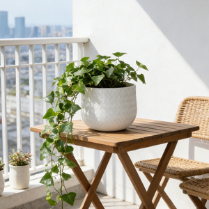 Assorted Sizes Magnesium Oxide Round Planter Set of 3