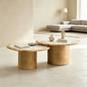 Irregular Coffee Table Set - 2pcs Burl Wood Veneer