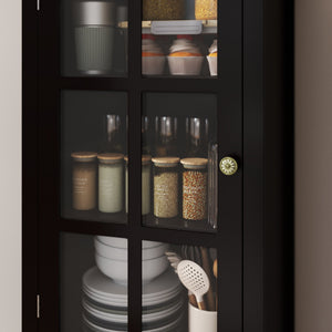 Black Tall Storage Cabinet with Glass Door & 2 Drawers