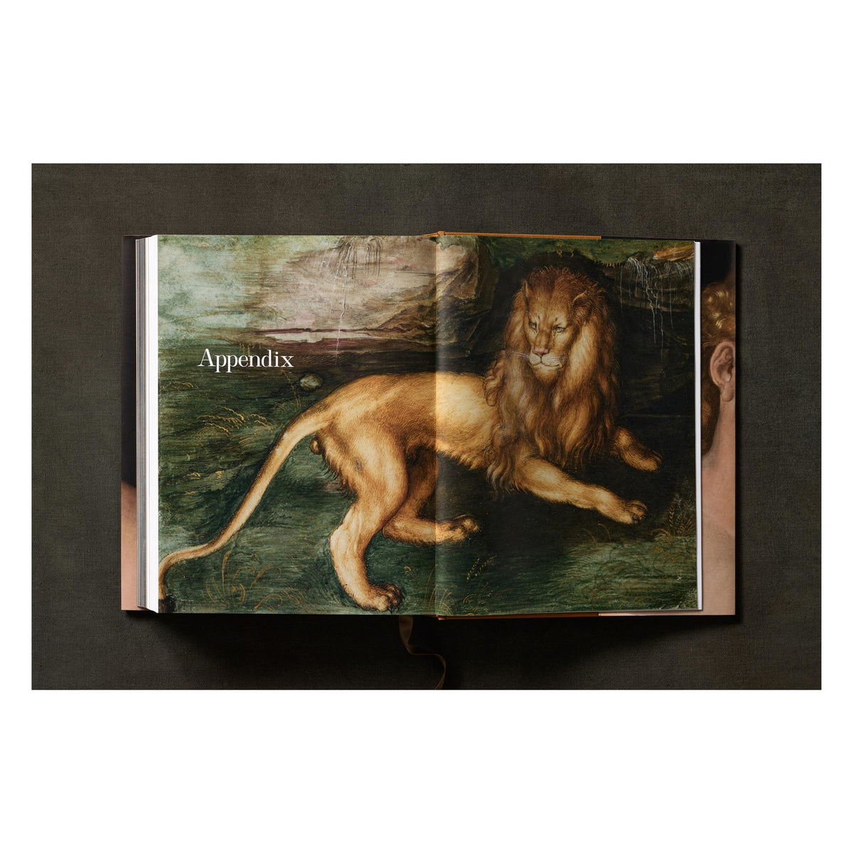 Albrecht Dürer. The Complete Paintings. Selected Drawings and Prints (English)