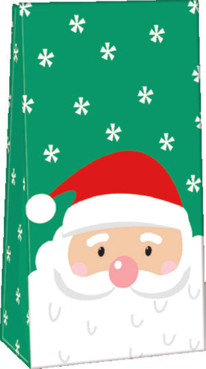 Paper Small Treat Sacks - Set of 10 - Santa