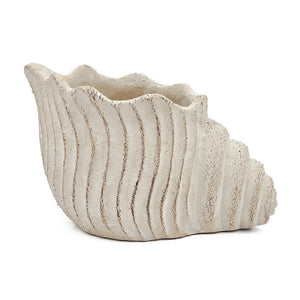 11.5x7x7' Sand and Cement Nautilus Shell Planter with Textured Beige Finish