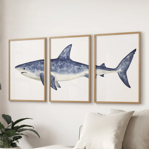 Shark Wall Art. Set of 3 Watercolor Ocean Animal Prints