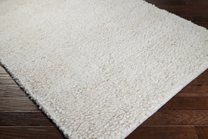 Bedias Wool Area Carpet - Clearance