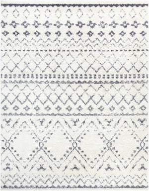 Benezett Area Rug - Clearance