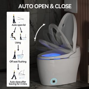 Smart Toilets with Heated Bidet Seat