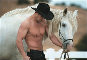Birthday Card - I Know How Much You Like Horses