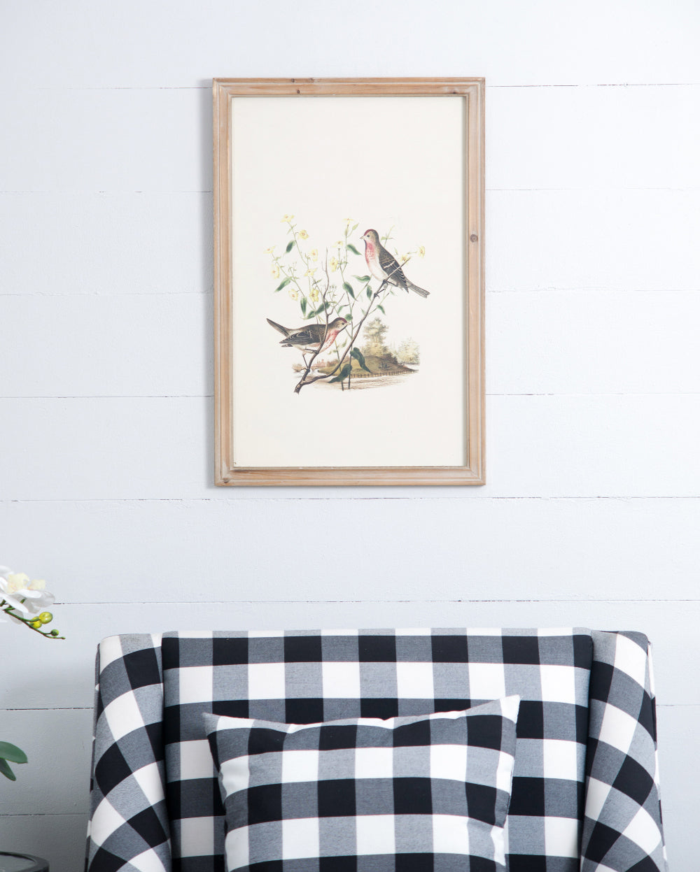 Set of 4 Bird Framed Prints