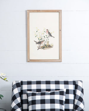 Set of 4 Bird Framed Prints