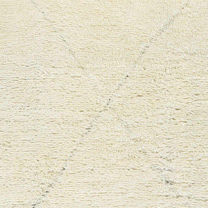 Birdwell Area Rug - Clearance