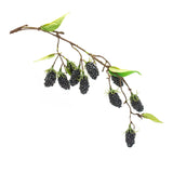 Blackberry Twig Vine (Set of 6) - Tuesday Morning - Faux Stems & Sprays