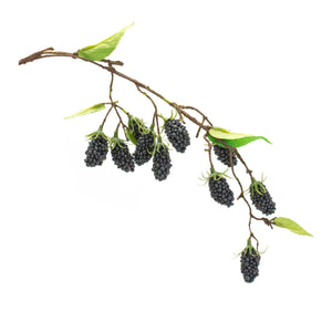 Blackberry Twig Vine (Set of 6)