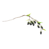Blackberry Twig Vine (Set of 6) - Tuesday Morning - Faux Stems & Sprays