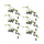 Blackberry-Twig-Vine-(Set-of-6)-Artificial-Non-Flowering-Plants