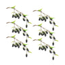 Blackberry-Twig-Vine-(Set-of-6)-Artificial-Non-Flowering-Plants
