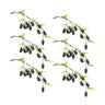 Blackberry Twig Vine (Set of 6)