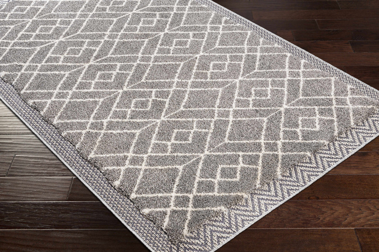 Ballybunnion Area Rug - Clearance