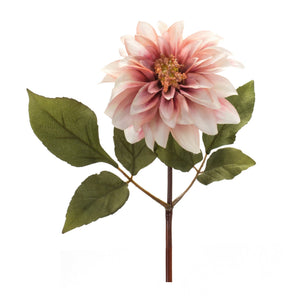 Blush Pink Dahlia Flower Stem (Set of 6)