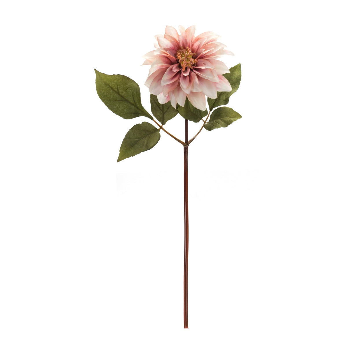 Blush Pink Dahlia Flower Stem (Set of 6)