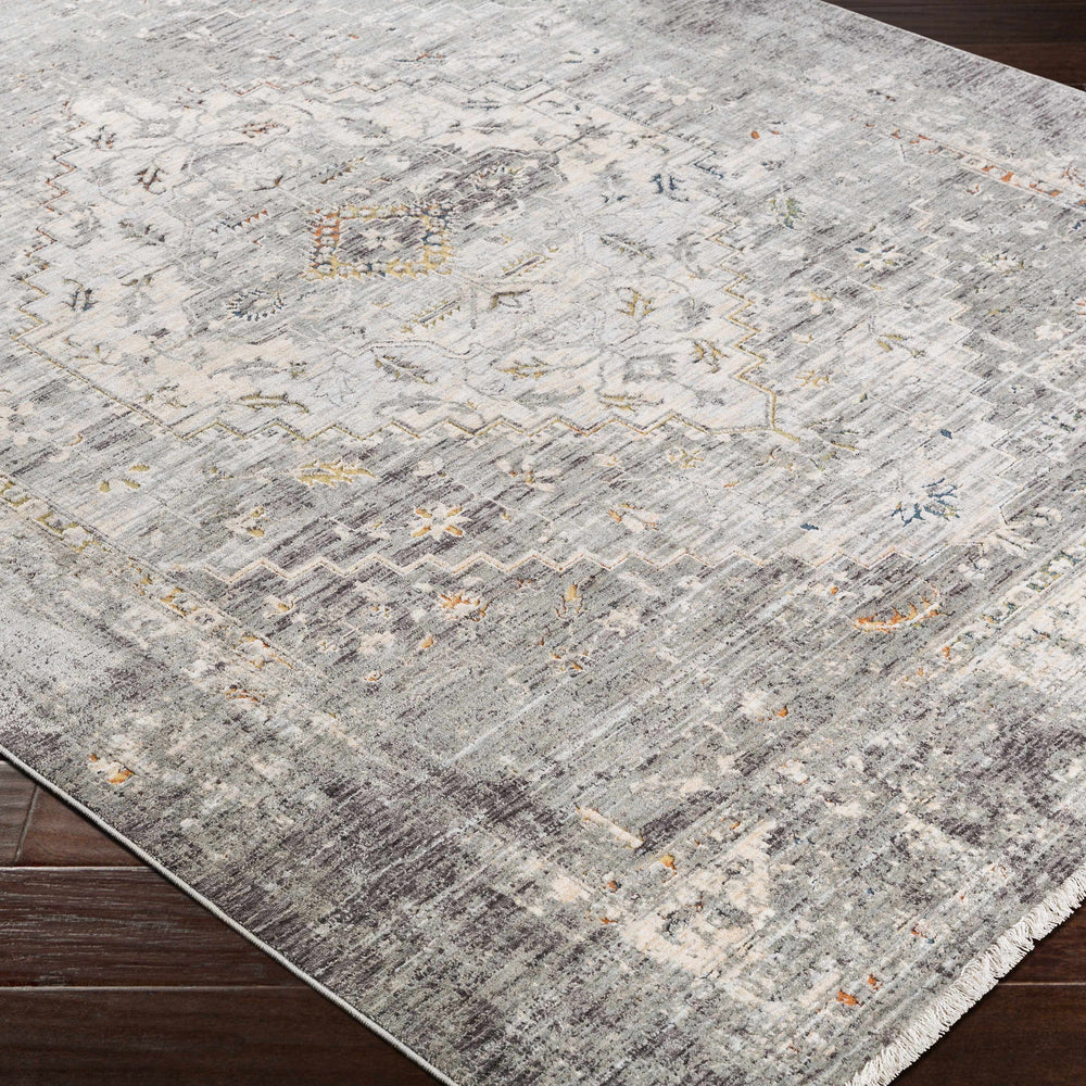 Boli Distressed Statement Rug