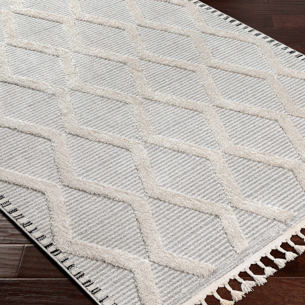 Bolong High/Low Pile Rug with Tassels - Clearance