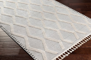 Bolong High/Low Pile Rug with Tassels - Clearance