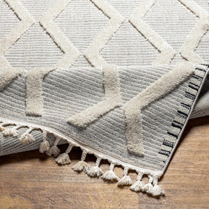 Bolong High/Low Pile Rug with Tassels - Clearance