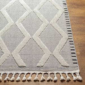 Bolong High/Low Pile Rug with Tassels - Clearance