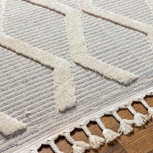 Bolong High/Low Pile Rug with Tassels - Clearance