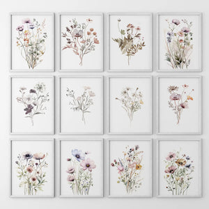 Neutral Wildflower Wall Art Set of 12. Botanical Prints