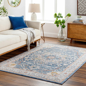 Bree Traditional Style Rug - Clearance